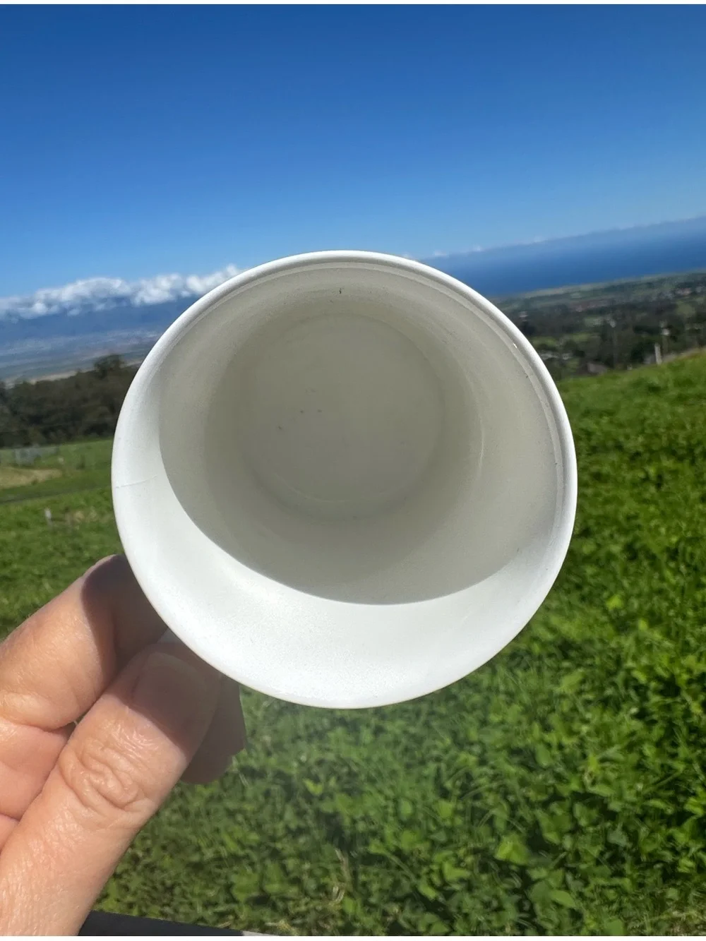 Dunoon Village Greens Fine China Coffee Tea Mug Sue Scullard England Cottage